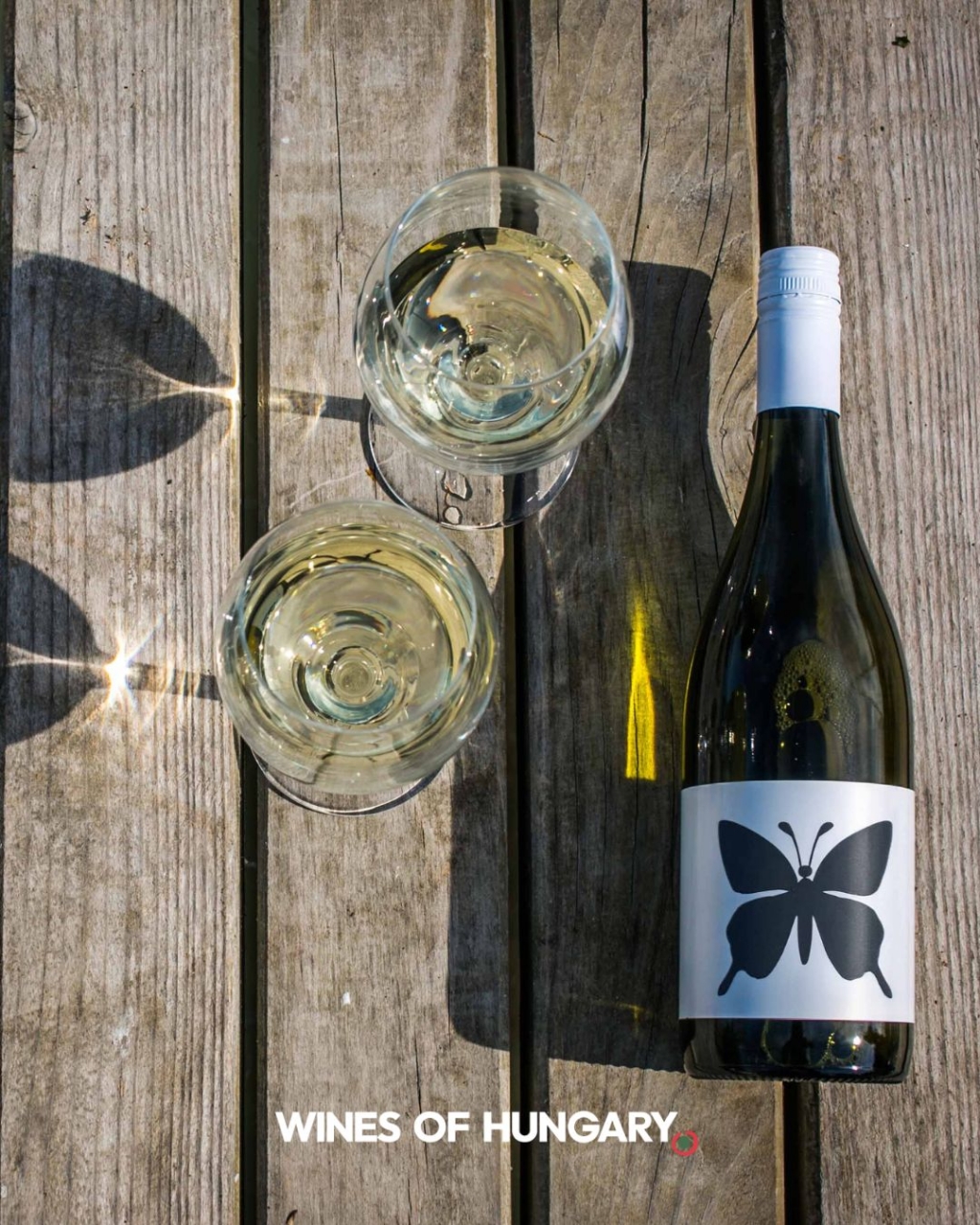 Wines_of_Hungary_01.jpg