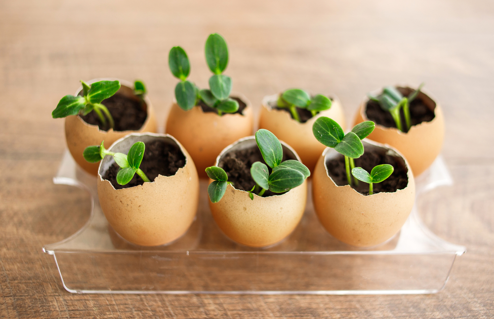 shutterstock_1730638918.jpg