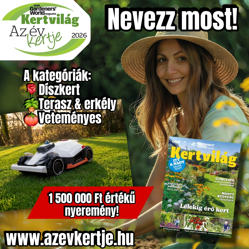 negyzetes.jpg