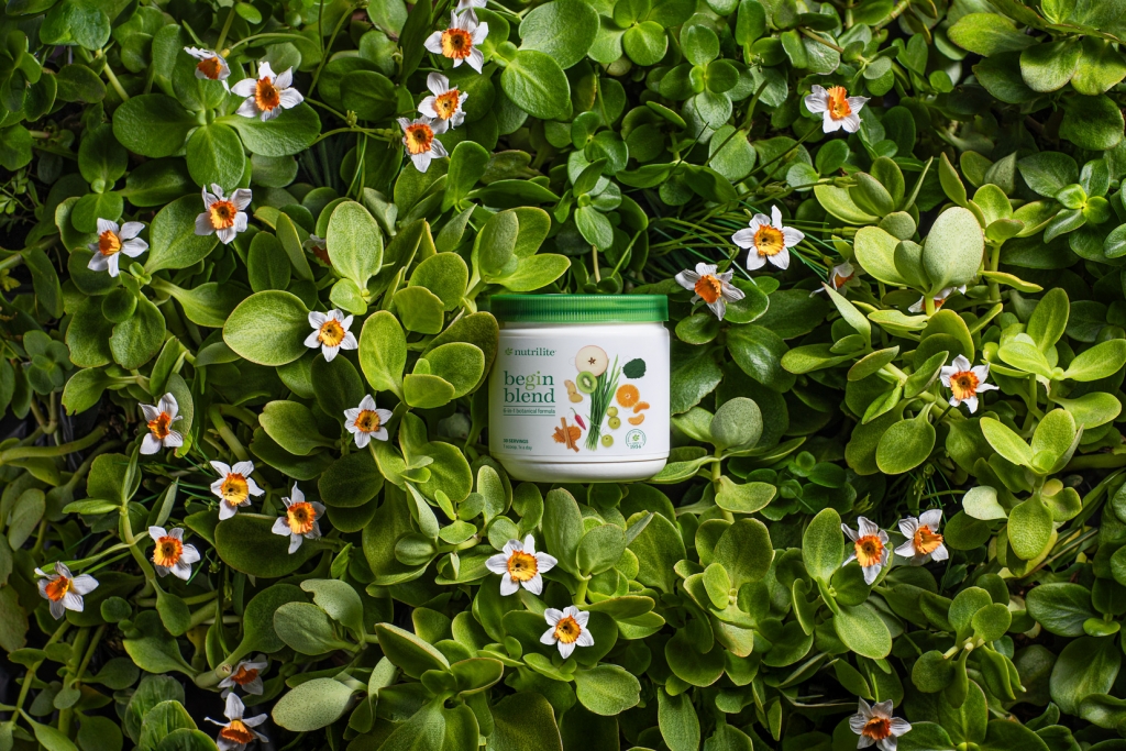Nutrilite Begin Blend 6.jpg