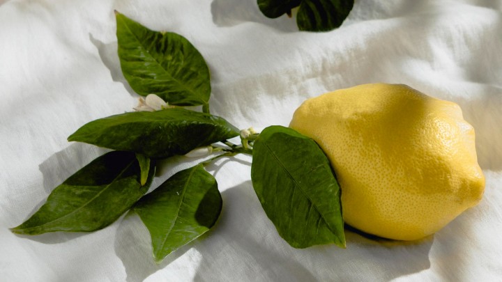 Citromantika: látványos és kreatív DIY ötletek, amelyeket a citrom ihletett!