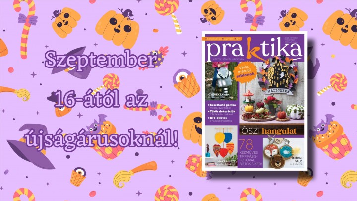 Őszi és halloweeni DIY ötletek: szeptember 16-ától kapható az új Praktika magazin!